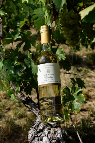 Bacchus Spätlese lieblich